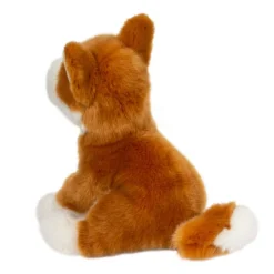 Flash Sale Aki Shiba Inu Dogs