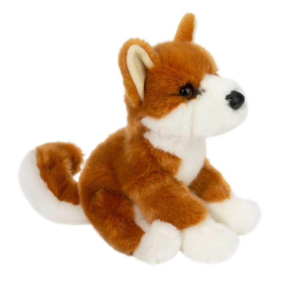 Flash Sale Aki Shiba Inu Dogs