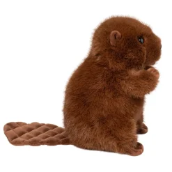 Best Bev Beaver Wildlife