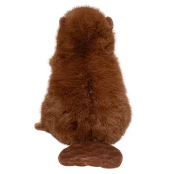 Best Bev Beaver Wildlife