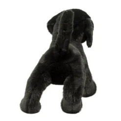 New Chester Black Lab Dogs
