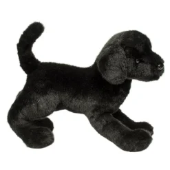 New Chester Black Lab Dogs