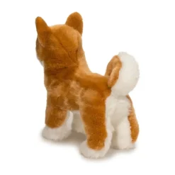 New Dunham Shiba Inu Dogs