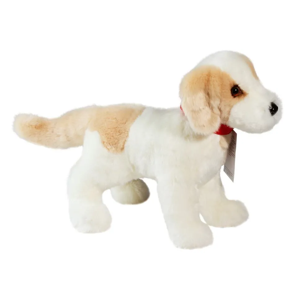 Outlet Gemma Cream Lab Mix Rescue Pup Dogs