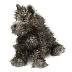 Hot Hazel Cairn Terrier Dogs