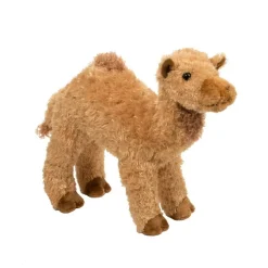 Store Lawrence Camel Wildlife