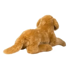 Hot Sherman Golden Retriever, Medium Dogs