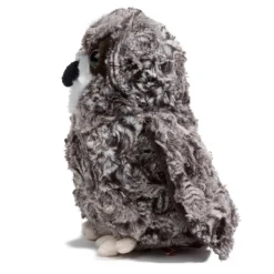 Outlet Shrill Saw-Whet Owl Wildlife