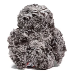 Outlet Shrill Saw-Whet Owl Wildlife