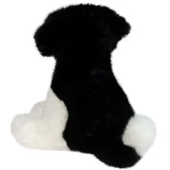 Shop Teefer Shih Tzu Dogs